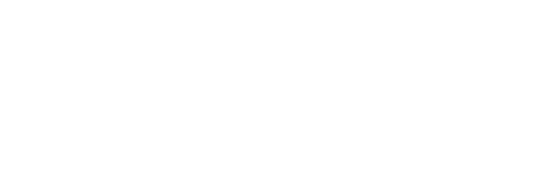 Logo Vizi